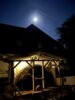 Foto vom Album: Galerie