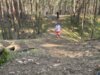 Foto vom Album: 4.crosslauf2025