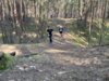 Foto vom Album: 4.crosslauf2025
