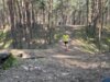 Foto vom Album: 4.crosslauf2025