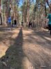 Foto vom Album: 4.crosslauf2025