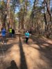 Foto vom Album: 4.crosslauf2025