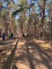 Foto vom Album: 4.crosslauf2025