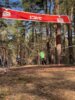 Foto vom Album: 4.crosslauf2025