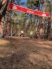 Foto vom Album: 4.crosslauf2025