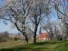 Foto vom Album: Kirche Planitz