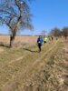 Foto vom Album: Stockenten_Siethen