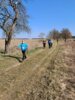 Foto vom Album: Stockenten_Siethen