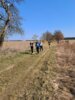 Foto vom Album: Stockenten_Siethen