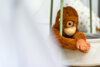 Foto vom Album: Krabbel-Gruppen - Treffpunkt für Eltern und Babys