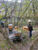11.04.25: Zaungäste auf allen Seiten