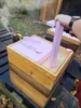 07. November 2025: Die Bienen bekommen ein isoliertes Dach