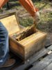 Die Bienen sind die Inspektion gewohnt und bleiben ganz ruhig