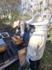 04. April: Erster Besuch einer Klasse bei den Bienen