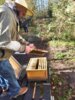 Kontrolle bei den Bienen am 04. April 2025