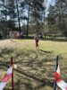 cross (7)