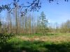 Foto vom Album: Wanderweg 51...