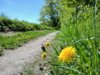Foto vom Album: Wanderweg 51...