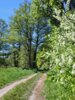 Foto vom Album: Wanderweg 51...