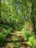 Foto vom Album: Wanderweg 51...