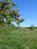 Foto vom Album: Wanderweg 51...