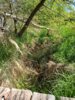 Foto vom Album: Wanderweg 51...