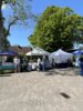 Foto vom Album: Frühlingsmarkt 2025
