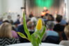 Foto vom Album: Christian Wustrau & Band