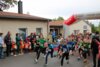 Foto vom Album: 37. Lauf um die Kreckwitzer Höhen