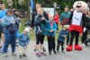 Foto vom Album: 37. Lauf um die Kreckwitzer Höhen