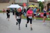 Foto vom Album: 37. Lauf um die Kreckwitzer Höhen