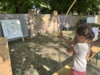 Foto vom Album: Kinderfest 2025