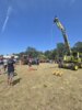 Foto vom Album: Trecker- und Oldtimertreffen in Bücknitz 