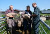 Foto vom Album: Tierarztpraxis