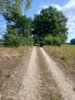 Foto vom Album: Rundwanderweg 52