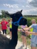 Foto vom Album: Erlebnisreiche Tage im KiJuKuZ