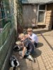 Foto vom Album: Erlebnisreiche Tage im KiJuKuZ