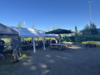 Foto vom Album: Fischerfest 2025