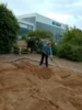Foto vom Album: Arbeitseinsatz