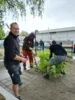 Foto vom Album: Arbeitseinsatz
