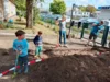 Foto vom Album: Arbeitseinsatz