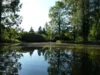 Blick &uuml;ber den Inselteich, Foto Ulrich Jarke