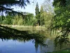 Geh&ouml;lzkulisse am Inselteich, Foto Ulrich Jarke