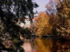 Herbstlicher Schlosspark, Foto Norbert Hesse