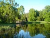 Inselteich , Foto Helga Holz