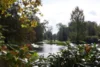 Sommer im Schlosspark, Foto Dirk Stephan