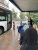 Foto vom Album: Busschule für unsere Schulanfänger