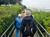 Foto vom Album: Sommerurlaub in Rerik 2025