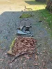 Foto vom Album: Waldtag 2a