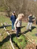 Foto vom Album: Waldtag 2a